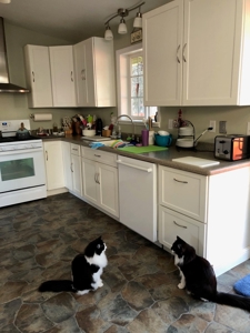 Home for Sale in Eagle River, AK - image 3