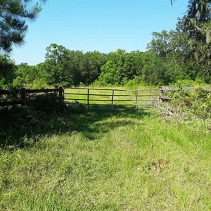 Land For Sale North Florida - image 1