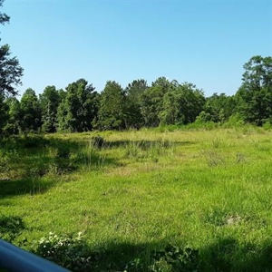 Land For Sale North Florida - image 3