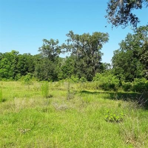 Land For Sale North Florida - image 2