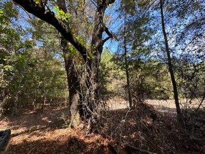 3.6 Acre Lot No Restrictions - image 17