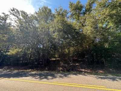 3.6 Acre Lot No Restrictions - image 22