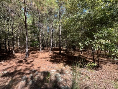 3.6 Acre Lot No Restrictions - image 14