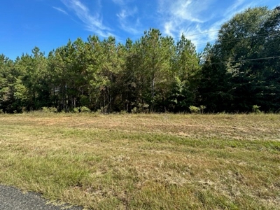 3.6 Acre Lot No Restrictions - image 8