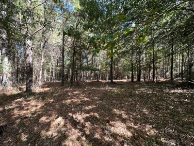 3.6 Acre Lot No Restrictions - image 25