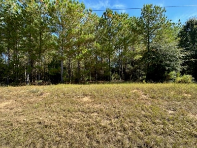 3.6 Acre Lot No Restrictions - image 12