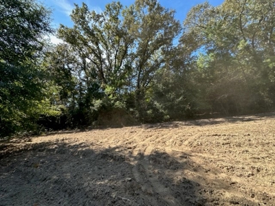 3.6 Acre Lot No Restrictions - image 15