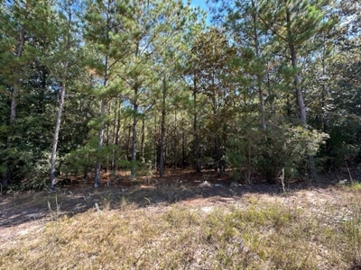 3.6 Acre Lot No Restrictions - image 10