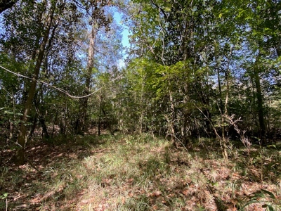3.6 Acre Lot No Restrictions - image 26