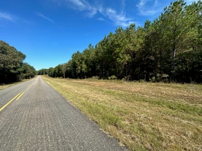 3.6 Acre Lot No Restrictions - image 9
