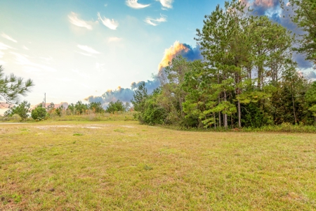 Commercial Property For Sale In Live Oak Florida!! - image 6