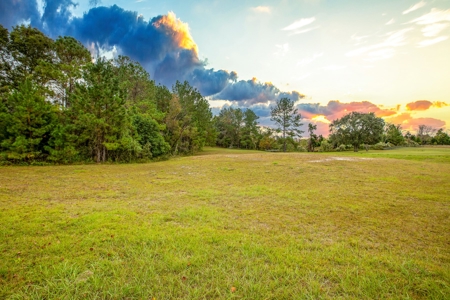 Commercial Property For Sale In Live Oak Florida!! - image 3