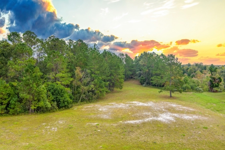 Commercial Property For Sale In Live Oak Florida!! - image 10