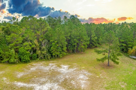 Commercial Property For Sale In Live Oak Florida!! - image 8