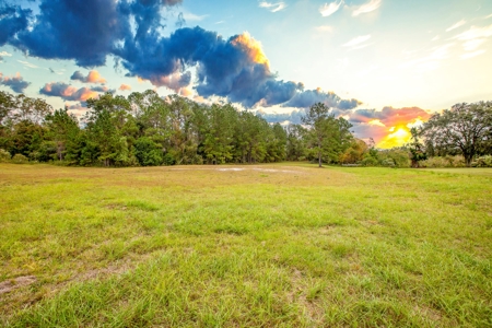 Commercial Property For Sale In Live Oak Florida!! - image 2