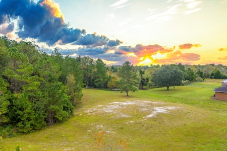 Commercial Property For Sale In Live Oak Florida!! - image 9