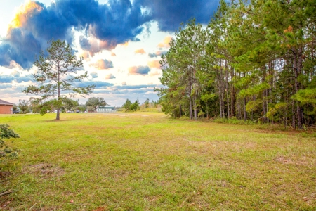 Commercial Property For Sale In Live Oak Florida!! - image 5