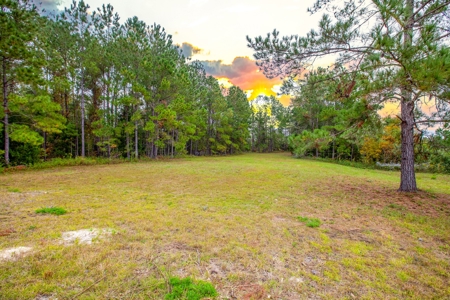 Commercial Property For Sale In Live Oak Florida!! - image 4