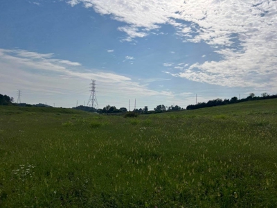 56 Acres For Sale in Greene County, TN - image 22
