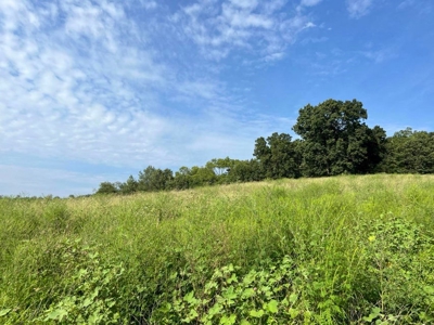 56 Acres For Sale in Greene County, TN - image 40