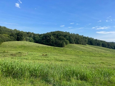 56 Acres For Sale in Greene County, TN - image 16