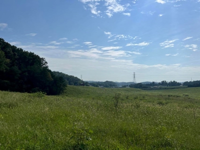 56 Acres For Sale in Greene County, TN - image 35