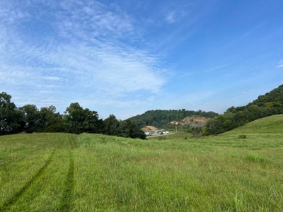 56 Acres For Sale in Greene County, TN - image 10