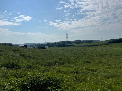 56 Acres For Sale in Greene County, TN - image 3