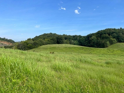 56 Acres For Sale in Greene County, TN - image 13