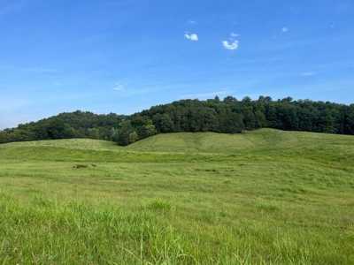 56 Acres For Sale in Greene County, TN - image 1
