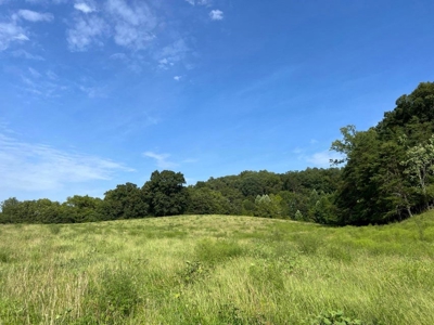 56 Acres For Sale in Greene County, TN - image 36