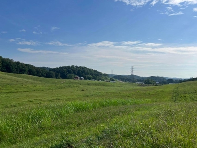 56 Acres For Sale in Greene County, TN - image 17