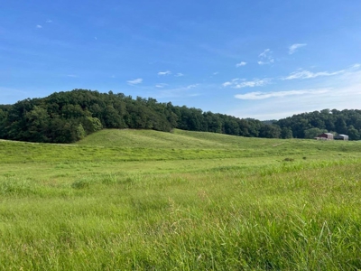 56 Acres For Sale in Greene County, TN - image 14