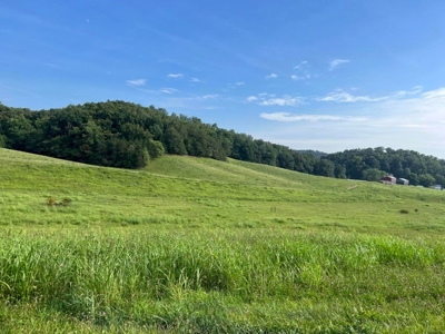 56 Acres For Sale in Greene County, TN - image 15