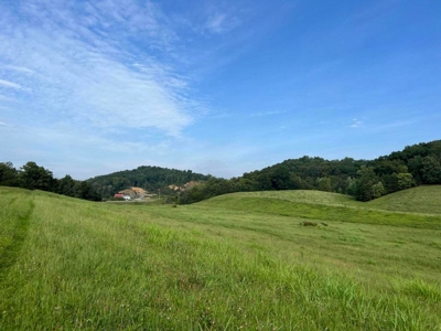 56 Acres For Sale in Greene County, TN - image 9