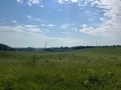 56 Acres For Sale in Greene County, TN - image 30