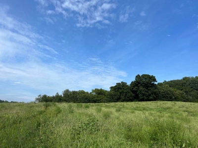56 Acres For Sale in Greene County, TN - image 27