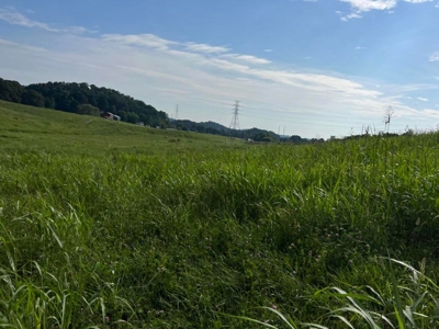 56 Acres For Sale in Greene County, TN - image 18