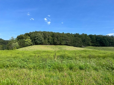 56 Acres For Sale in Greene County, TN - image 24
