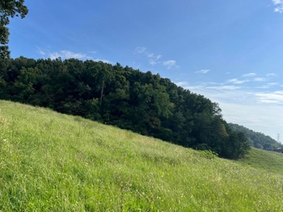 56 Acres For Sale in Greene County, TN - image 31