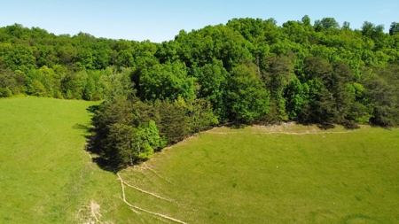 56 Acres For Sale in Greene County, TN - image 43