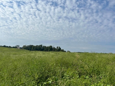 56 Acres For Sale in Greene County, TN - image 39