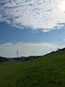 56 Acres For Sale in Greene County, TN - image 11