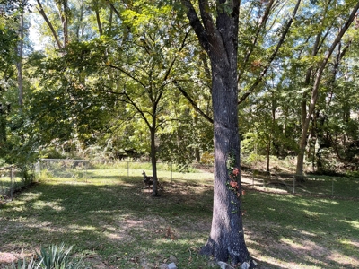 Large 3 AC lot and home for sale located in Pea Ridge. - image 14
