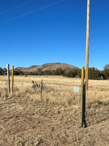 A Perfect Place To Start Your Offgrid Life! - image 9