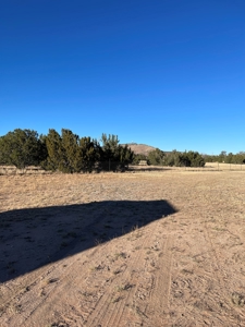 A Perfect Place To Start Your Offgrid Life! - image 4