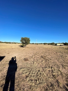 A Perfect Place To Start Your Offgrid Life! - image 6
