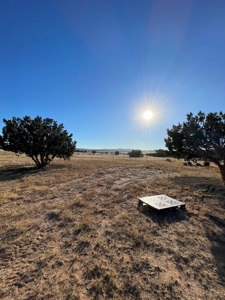 A Perfect Place To Start Your Offgrid Life! - image 7