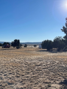 A Perfect Place To Start Your Offgrid Life! - image 12