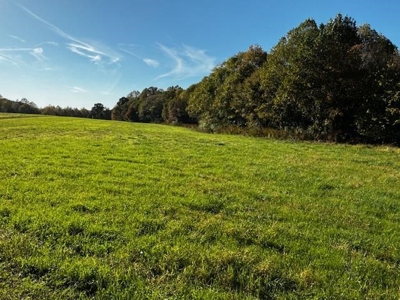 202 Acres of Serenity: Timber, Pond, and Prime Farmland - image 38